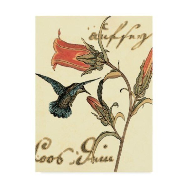 Vision Studio 'Small Hummingbird Reverie Iii' Canvas Art, 14x19, Trademark Fine Art, Mfr#: WAG02144-C1419GG